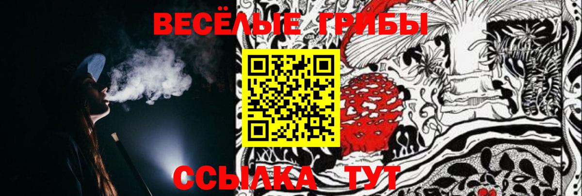 Реж  Псилоцибиновые грибы прущие грибы  Вход с VPN 