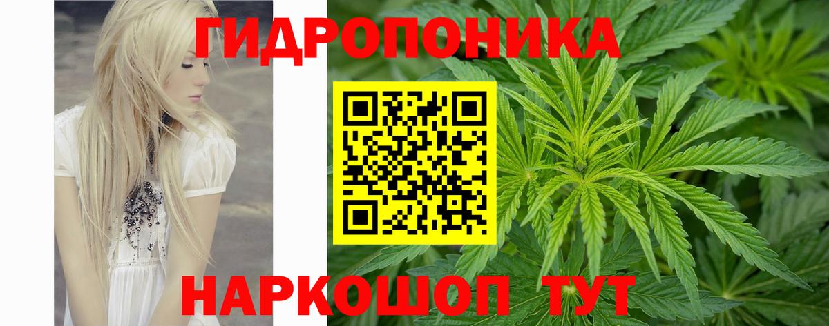 Марихуана Ganja  Вход с VPN  Реж  Канабис LSD WEED  Марихуана план 